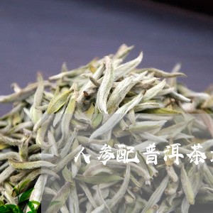 人参配普洱茶最好喝吗/2023112530493