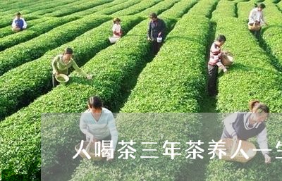 人喝茶三年茶养人一生/2023071640584