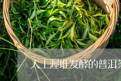 人工渥堆发酵的普洱茶/2023092562727