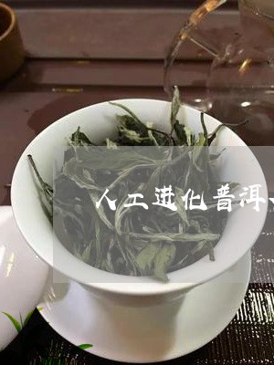 人工进化普洱茶价格表/2023092593025