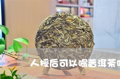 人授后可以喝普洱茶吗/2023072187370