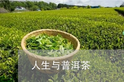 人生与普洱茶/2023042682771