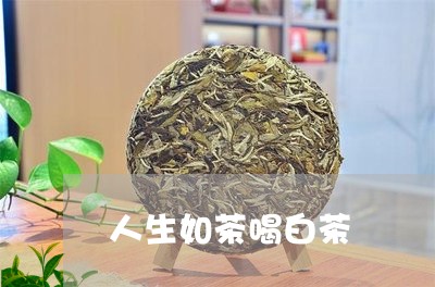 人生如茶喝白茶/2023062999584