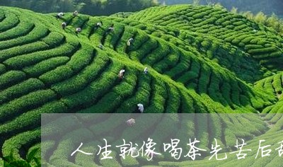 人生就像喝茶先苦后甜/2023071664371