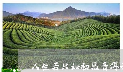 人生若只如初见普洱茶/2023062121795