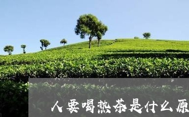 人要喝热茶是什么原因/2023060866130