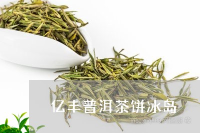 亿丰普洱茶饼冰岛/2023120452605