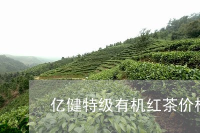 亿健特级有机红茶价格/2023092101715