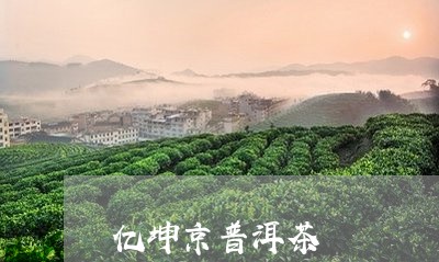 亿坤京普洱茶/2023110505027