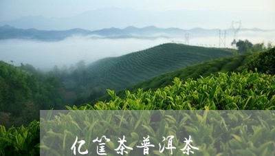 亿筐茶普洱茶/2023042821060