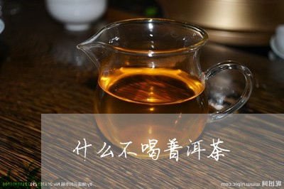 什么不喝普洱茶/2023082846957