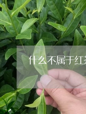 什么不属于红茶的三大产国/2023051149503