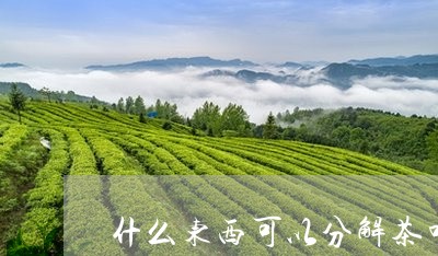 什么东西可以分解茶叶/2023061126247