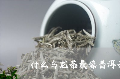 什么乌龙茶最像普洱茶/2023100736820