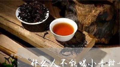 什么人不能喝小青柑普洱茶水/2023052809383