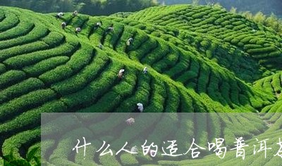 什么人的适合喝普洱茶/2023061733816