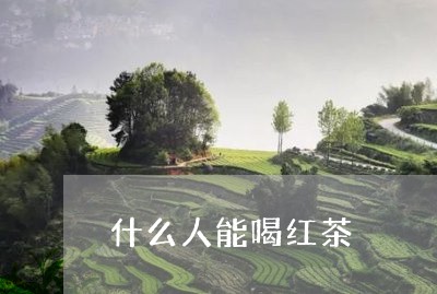 什么人能喝红茶/2023042960229