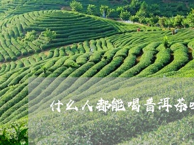 什么人都能喝普洱茶吗/2023072385069