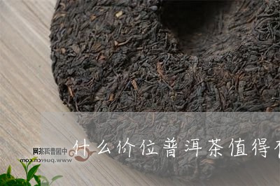 什么价位普洱茶值得存藏/2023110509391