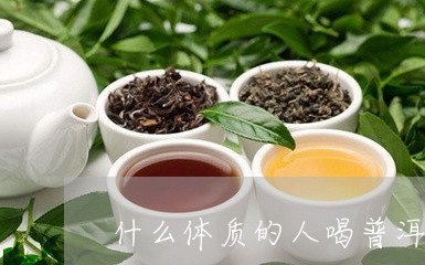 什么体质的人喝普洱茶/2023100888471