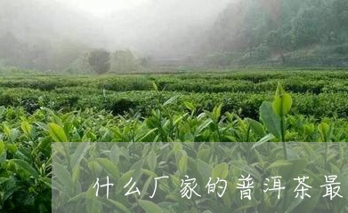 什么厂家的普洱茶最好/2023100661604