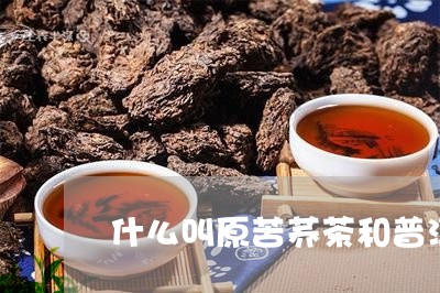 什么叫原苦荞茶和普洱茶/2023081542715