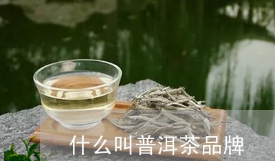 什么叫普洱茶品牌/2023120419584