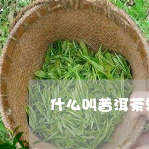 什么叫普洱茶转化原理/2023062716030