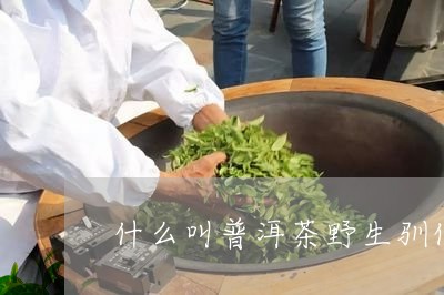 什么叫普洱茶野生驯化/2023080150503