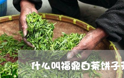 什么叫福鼎白茶饼子茶/2023120802726