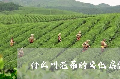 什么叫老茶的文化底蕴/2023092064836