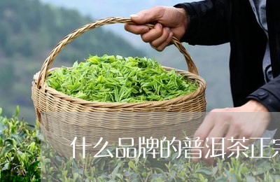 什么品牌的普洱茶正宗/2023100831414