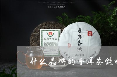 什么品牌的普洱茶能喝/2023062244257