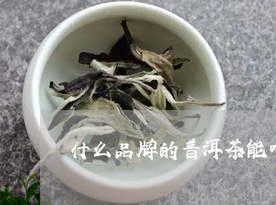 什么品牌的普洱茶能喝一年/2023082715847