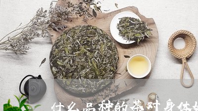 什么品种的茶对身体好/2023092045372