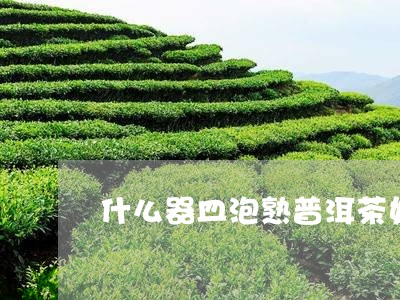 什么器皿泡熟普洱茶好/2023092987179