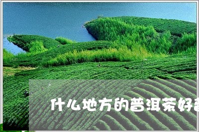 什么地方的普洱茶好普洱紫茶的产地/2023060304947