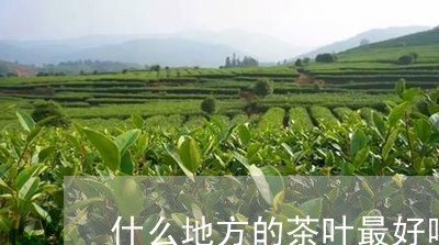 什么地方的茶叶最好喝/2023092247270