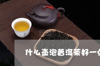 什么壶泡普洱茶好一点/2023120638370