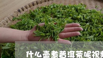 什么壶煮普洱茶呢视频/2023112557139