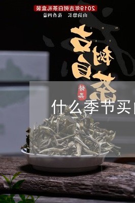 什么季节买白茶最好/2023071440513