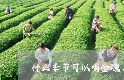 什么季节可以喝金骏眉普洱茶/2023052995928