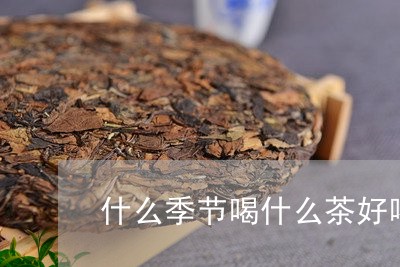 什么季节喝什么茶好喝/2023071443794