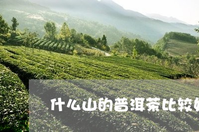 什么山的普洱茶比较好/2023061706151