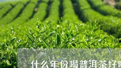 什么年份喝普洱茶好喝/2023062962693