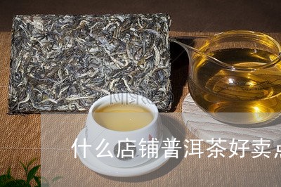 什么店铺普洱茶好卖点的/2023103140493