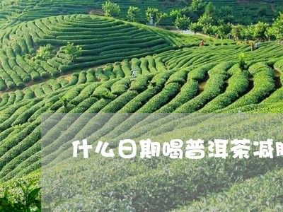 什么日期喝普洱茶减肥/2023100678462