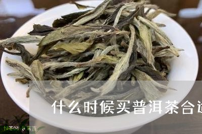 什么时候买普洱茶合适/2023093060605