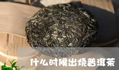 什么时候出烧普洱茶/2023082881492