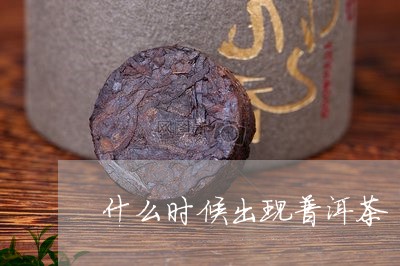 什么时候出现普洱茶/2023101711705